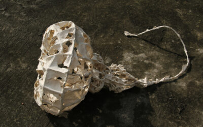 Paper Trails: Reflections on Practice