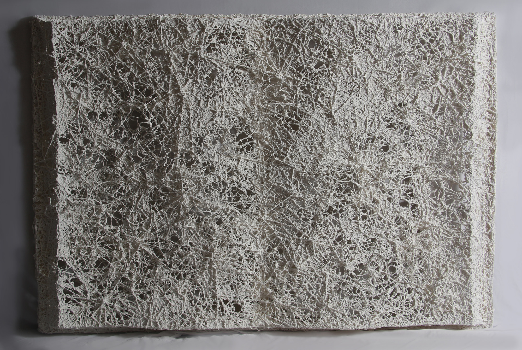 ravikumar-Ravi-Visceral-Paths-44-x-64-inches