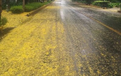 Editorial: Anthology The “Working Space” of Art