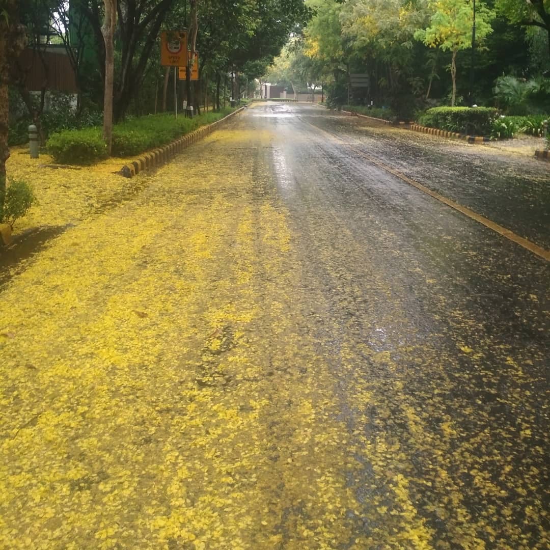 Lodhi road lockdown evenings