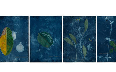 Before They Came to Humans : 3 Poems after Artworks by Rashmimala