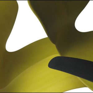 Yellow-Ashok-Ahuja
