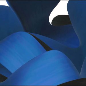 BLUE-Ashok-Ahuja
