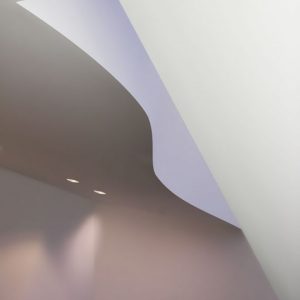 Bird Hiding in MOMA-Ashok-Ahuja