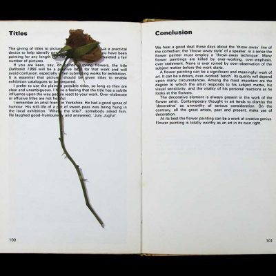 How-to-Paint-a-Flower-Madiha