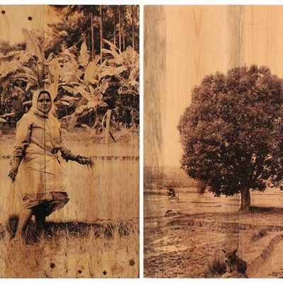 From the series of Vulnerable Guardians-Arunkumar HG