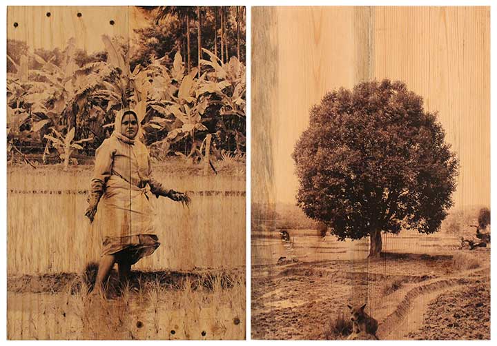 From the series of Vulnerable Guardians-Arunkumar HG