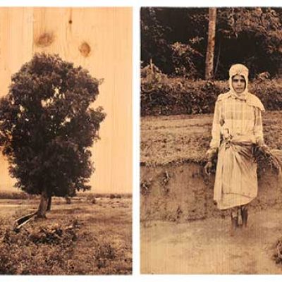 From the series of Vulnerable Guardians 1-Arunkumar HG