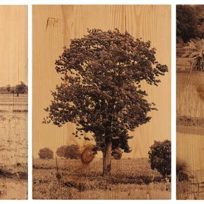 From the series of Vulnerable Guardians 2-Arunkumar HG