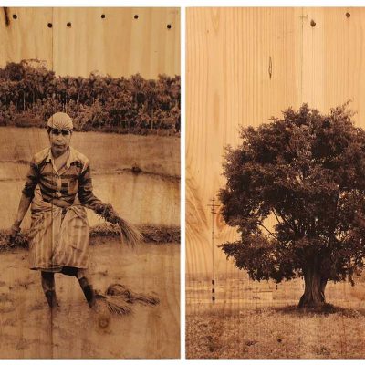 From the series of Vulnerable Guardians 3-Arunkumar HG