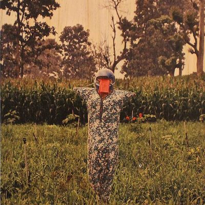 From the series of Vulnerable Guardians 1-Arunkumar HG