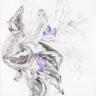 From my Verandah-2-Paula-Sengupta