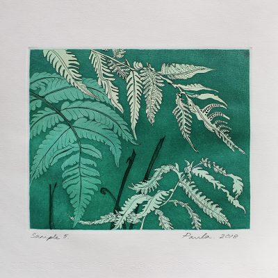 Hardy Fern-Sample 5-Paula-Sengupta
