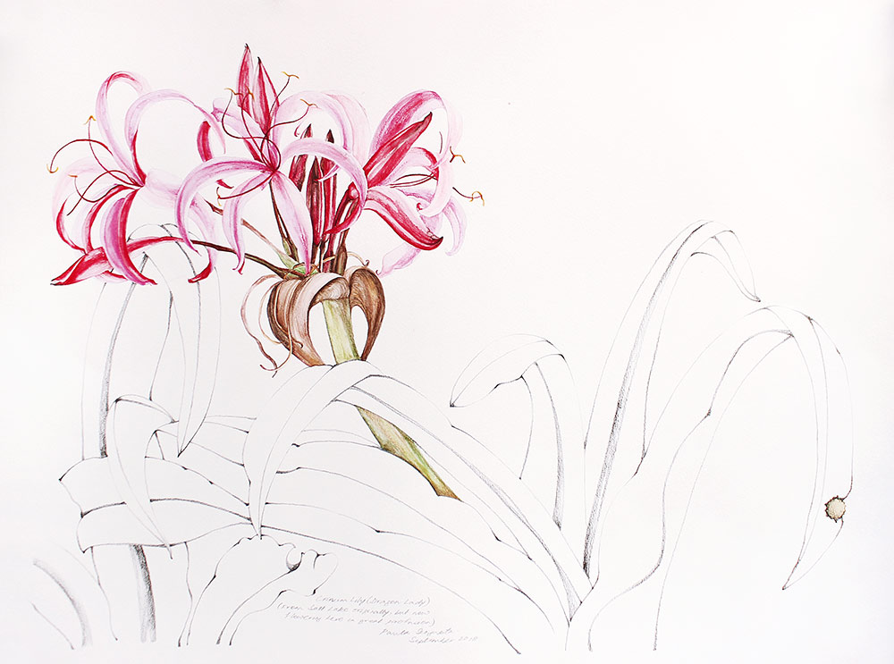 From the Garden-2-Paula-Sengupta