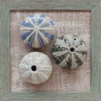 Sand & Sea 2-Japneet