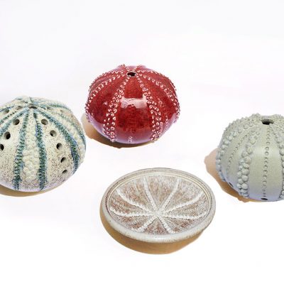 PHOTOPERIODISM -II-Japneet Keith