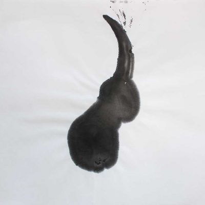 Pushkar 3-Avishek-Sen