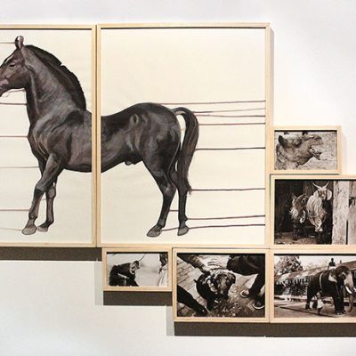 To-Domesticate-Akshay-Raj-Singh