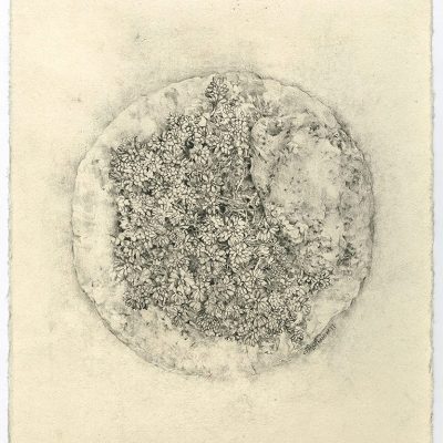 Greenhouse Diaries 1-Nandini-Bagla-Chirimar