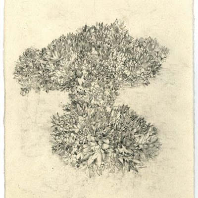 Greenhouse Diaries 2-Nandini-Bagla-Chirimar