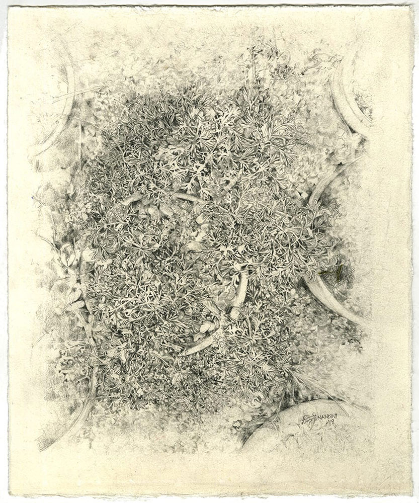 Green house diaries 3-Nandini-Bagla-Chirimar