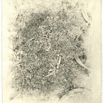 Greenhouse Diaries 3-Nandini-Bagla-Chirimar