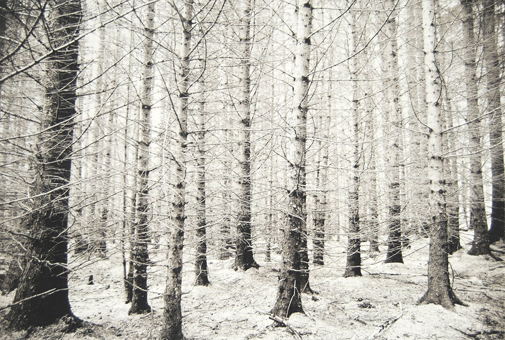 Ravi-Agarwal,-Nàdar-Landscapes-Series-3