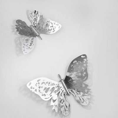 Vasudha Butterfly-Sunil-Gawde