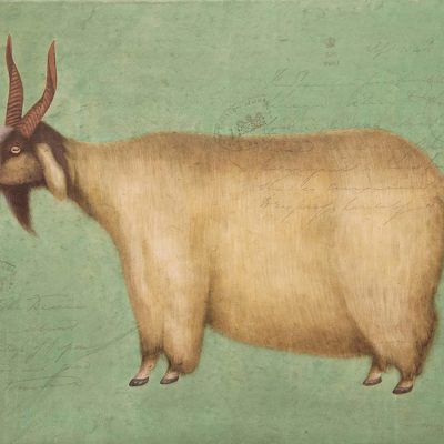 Veterinary Advisor-Tapan Das