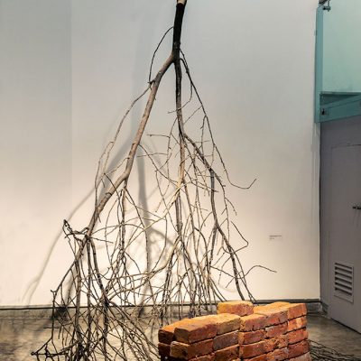 (In)visible ego: If the temple is within the body is there need for other temples?-G-R-Iranna