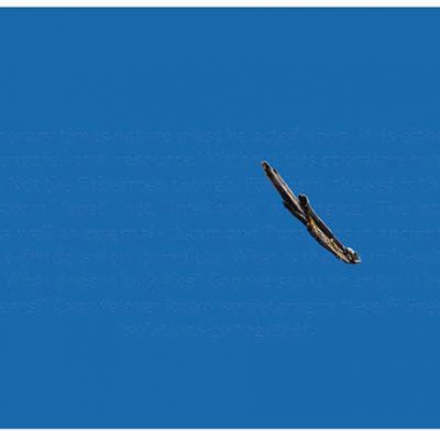 Ecological Manifesto