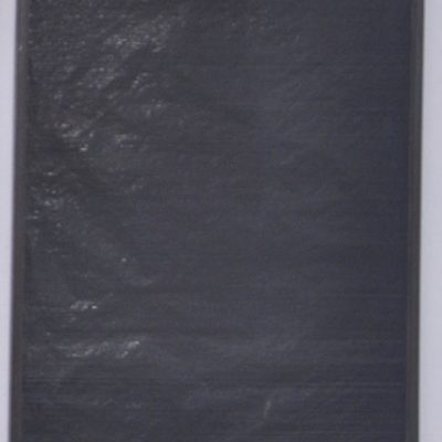Hemali-Bhuta-Image-10