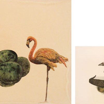 Illicit House 1 | Illicit House 2