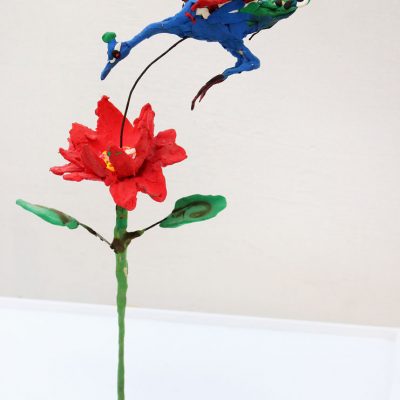 Lotus Lover-Amit Ambalal