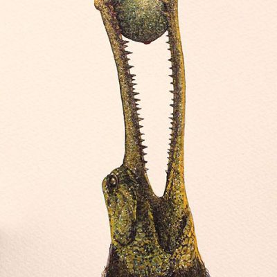Untitled-Avishek-Sen