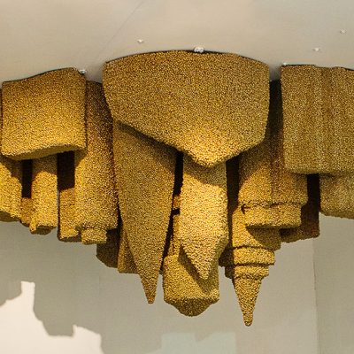 Colony Collapse Disorder-Vibha