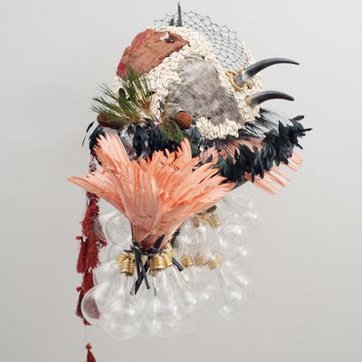 Wild & Monstrous-Rina Banerjee