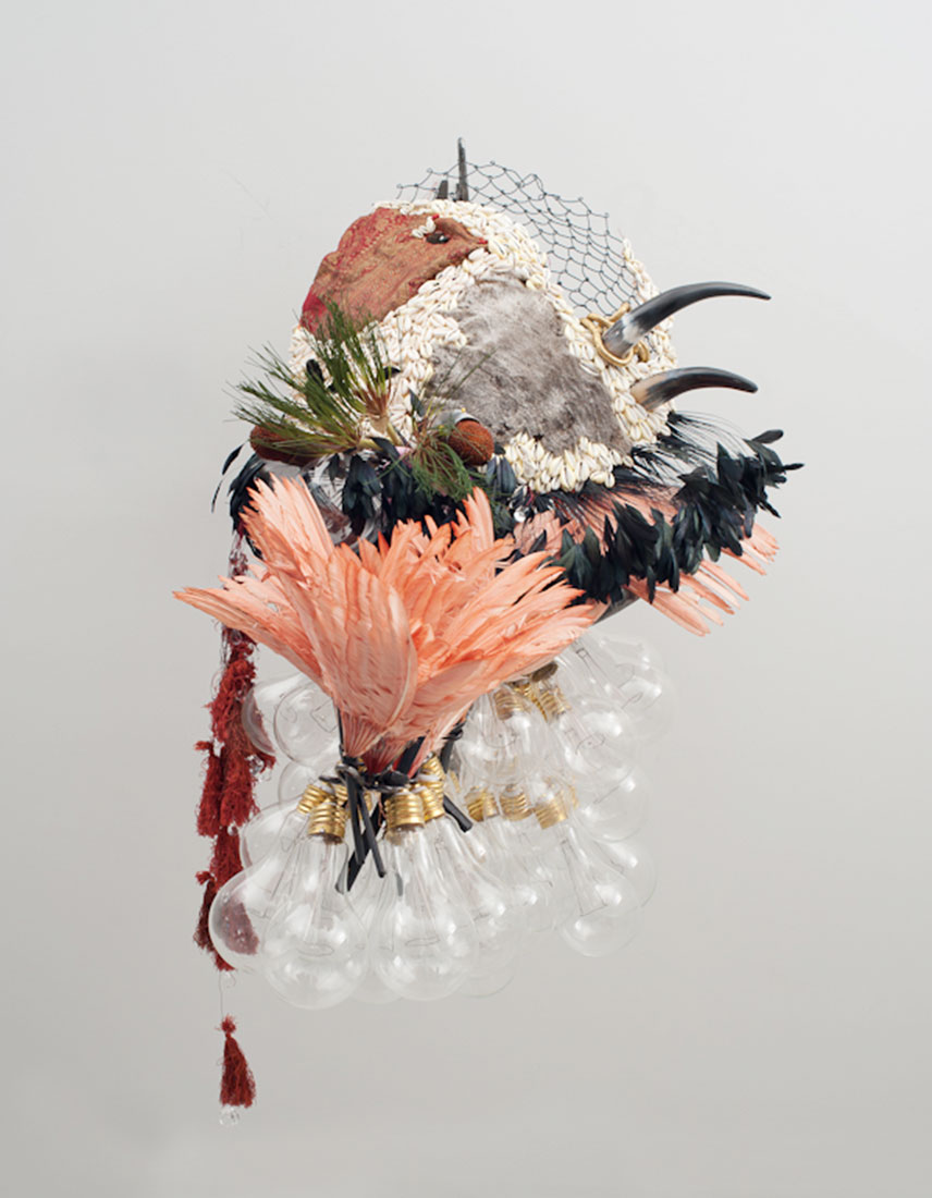 Wild & Monstrous-Rina Banerjee