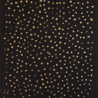 Wandering Souls-Zarina-Hashmi