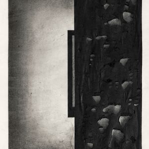 Coalesce-2-Purvai-Rai