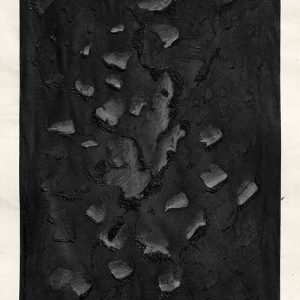 Final-Disposition-4-Purvai-Rai