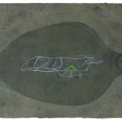 Cocoon 1-Tanmoy-Samanta