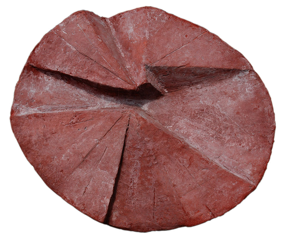 Lotus-Zarina