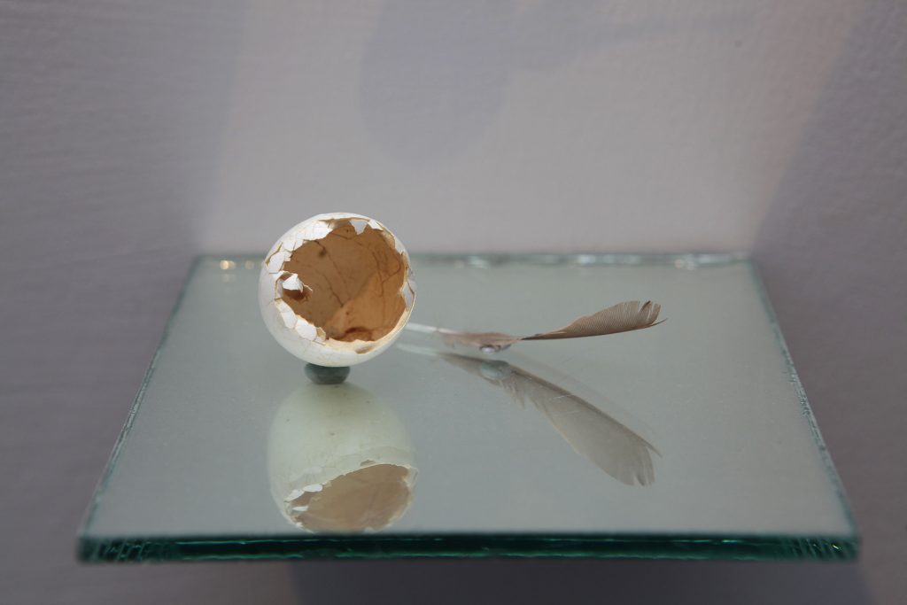 installation of show by Manisha Gera Baswani