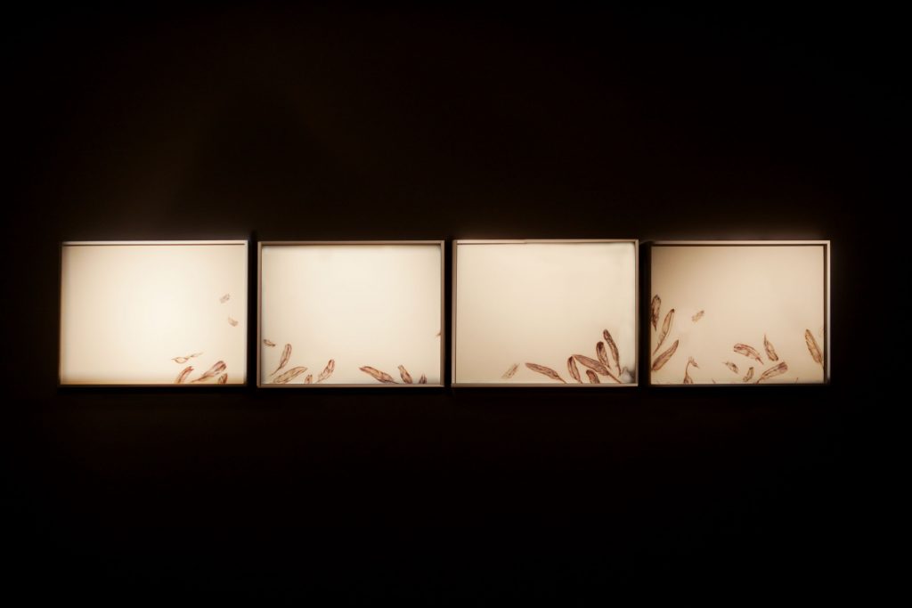 installation of show by Manisha Gera Baswani