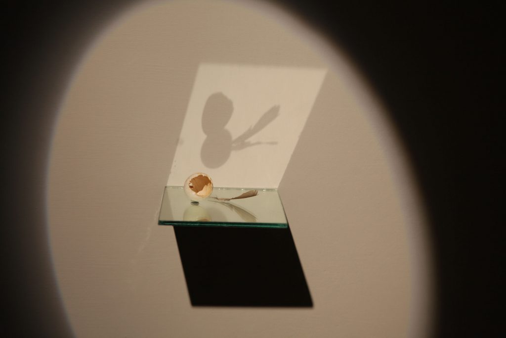 installation of show by Manisha Gera Baswani