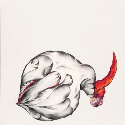 Sprout-manisha-gera-baswani