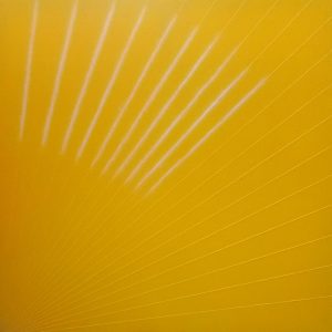 Untited-Shobha-Broota
