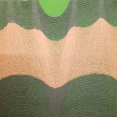 Untitled-Shoobha-Broota