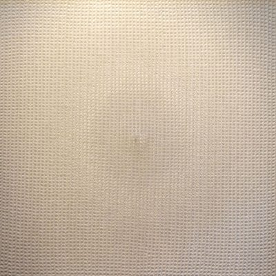 Untitled-Shobha-Broota